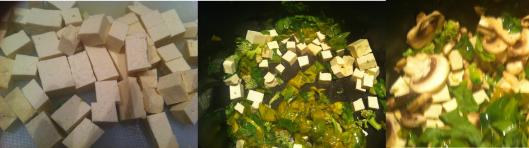 mushroom and tofu in soup